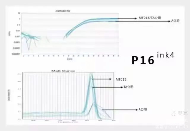 荧光定量，不得不说的几个事！